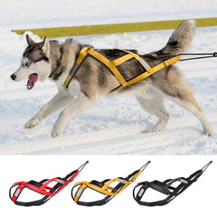 X-Back Dog Sled Harness for Mushing, Skijoring, and Canicross