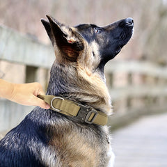 Tactical Dog Collar & Leash Set