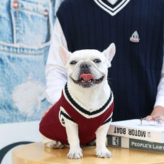 Winter V-Neck Dog Sweater