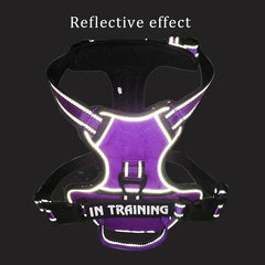 Reflective Adjustable Dog Harness