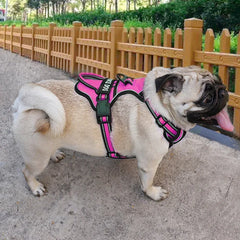 Reflective Adjustable Dog Harness